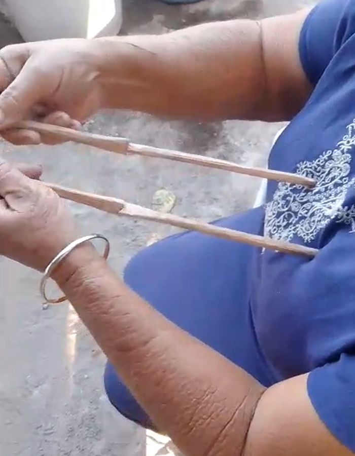 palitos buscadores